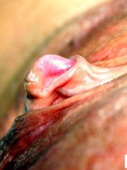 Несколько фото писек с крупными клиторами Большой клитор - Несколько фото писек с крупными клиторами