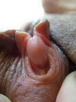 Красные вагины и большие клиторы Большой клитор - Красные вагины и большие клиторы