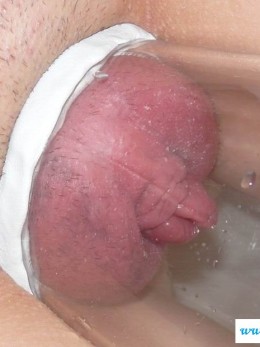 Эротические фотки нахлобученных секелей Большой клитор - Эротические фотки нахлобученных секелей