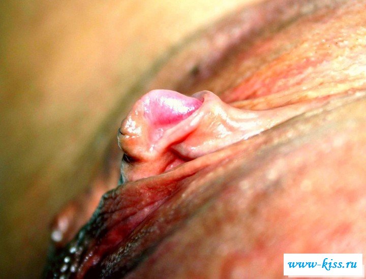 Несколько фото писек с крупными клиторами