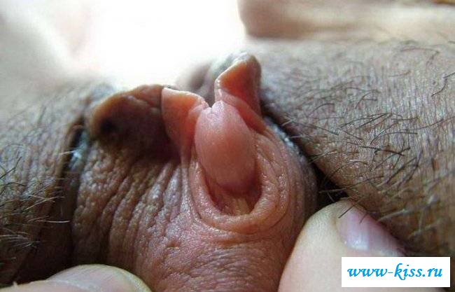 Подборка больших клиторов крупным планом