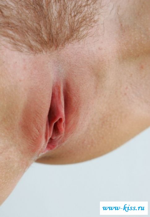 Сладкие вагины тёлок с волосатой пиздой