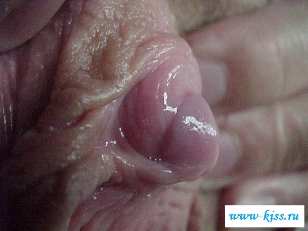 Сучки с большими клиторами на вульвах