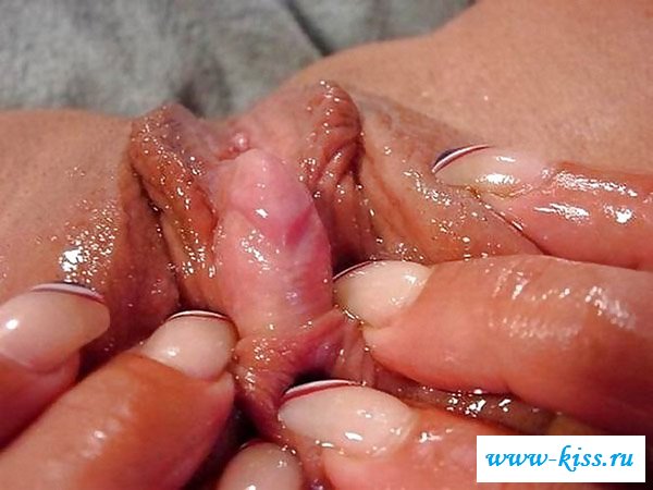 Сучки с большими клиторами на вульвах