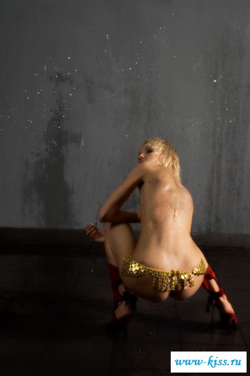 Бритые и мохнатые вагины в эротике