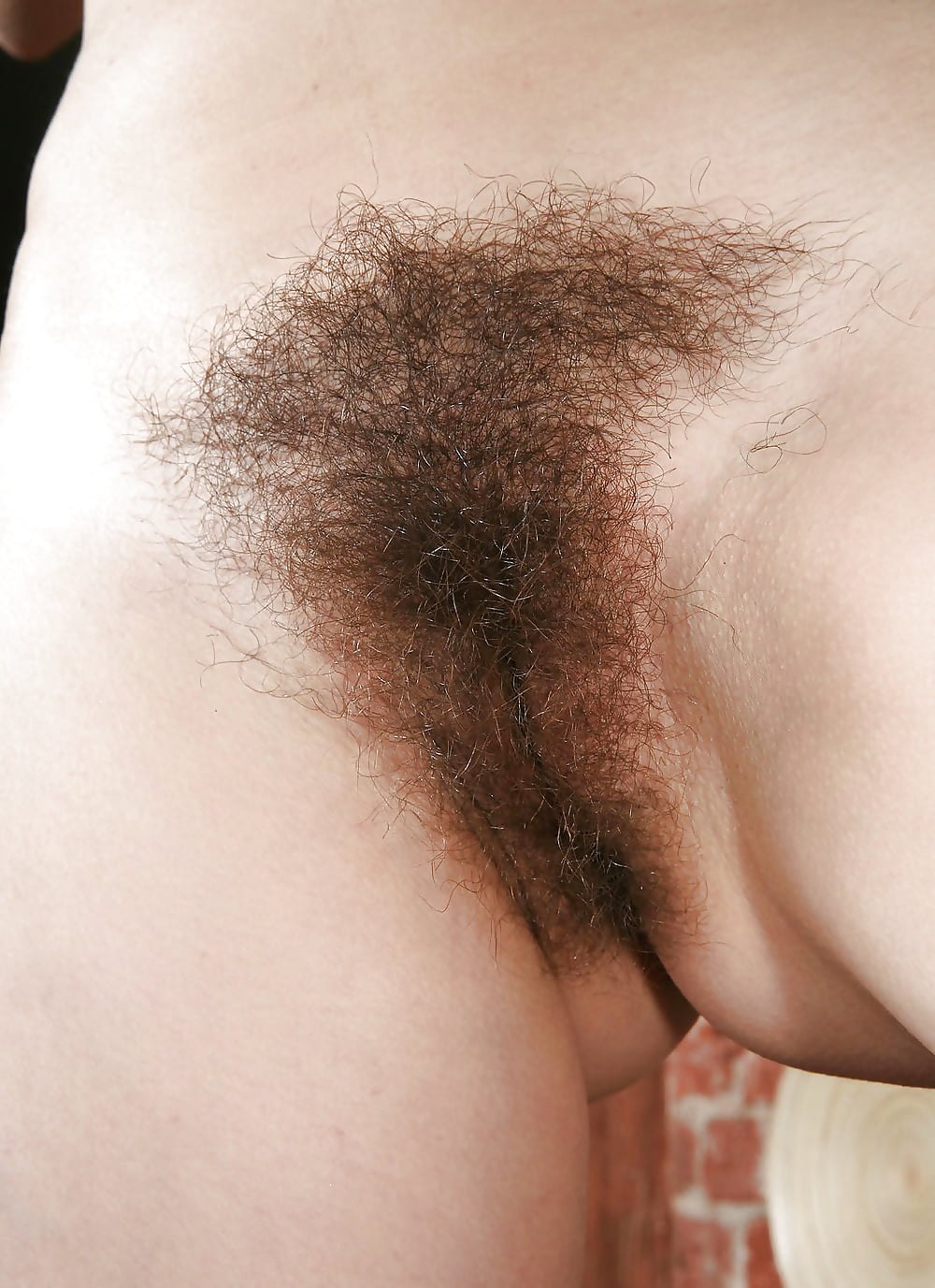 Волосатые киски в теле