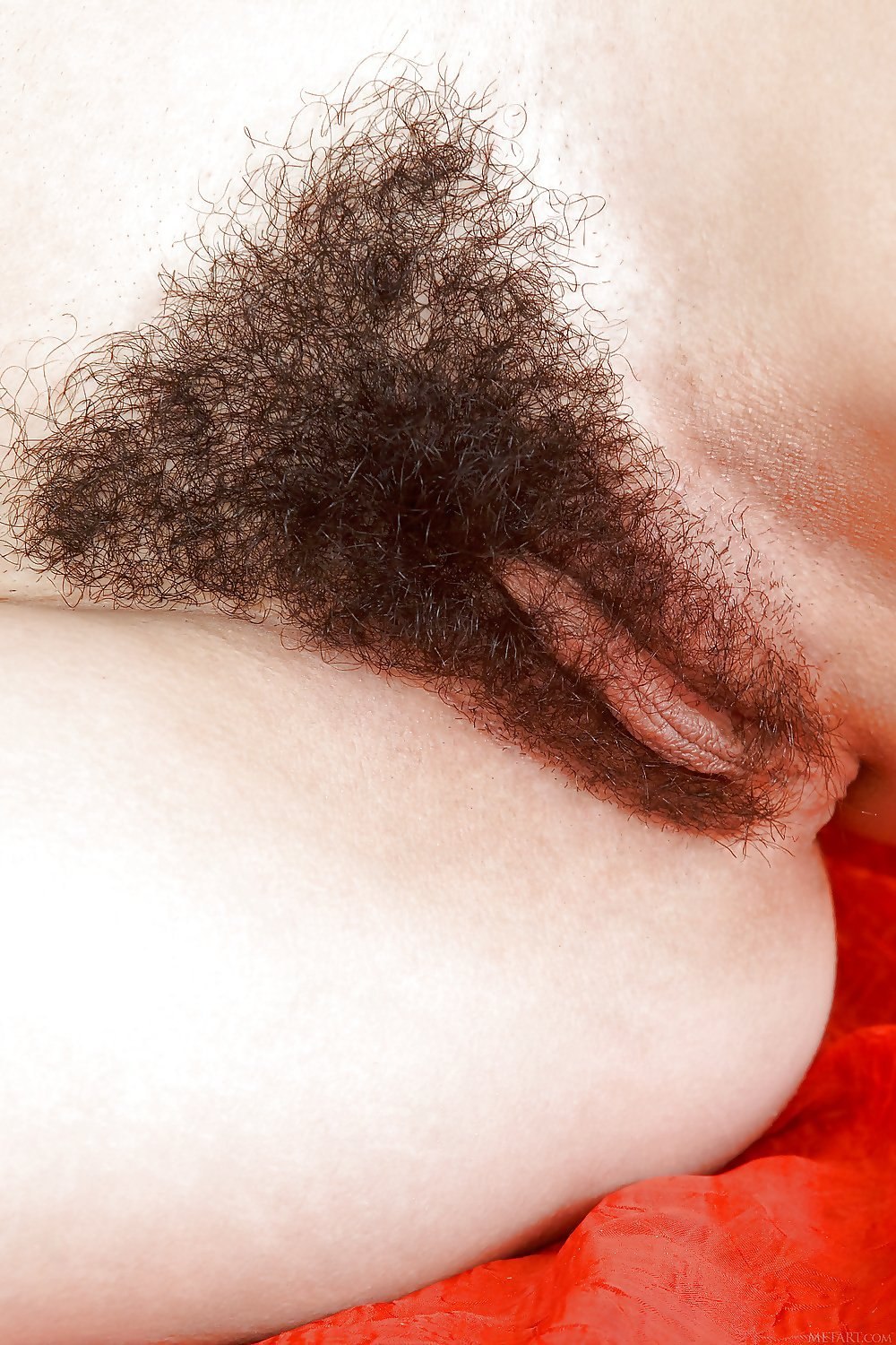 Зрелые волосатые в очках