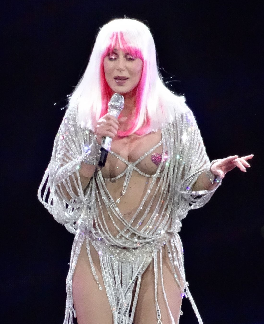 Певица Шер порнография