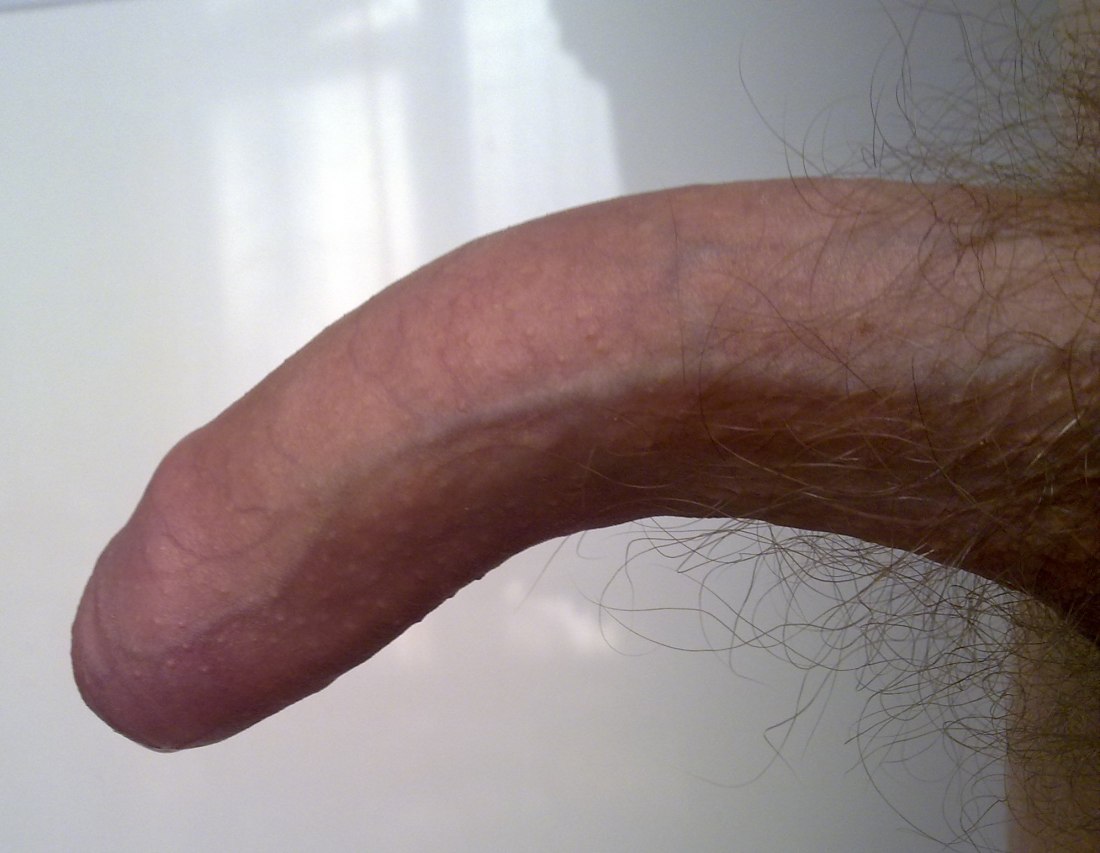 Огромный волосатый член висит
