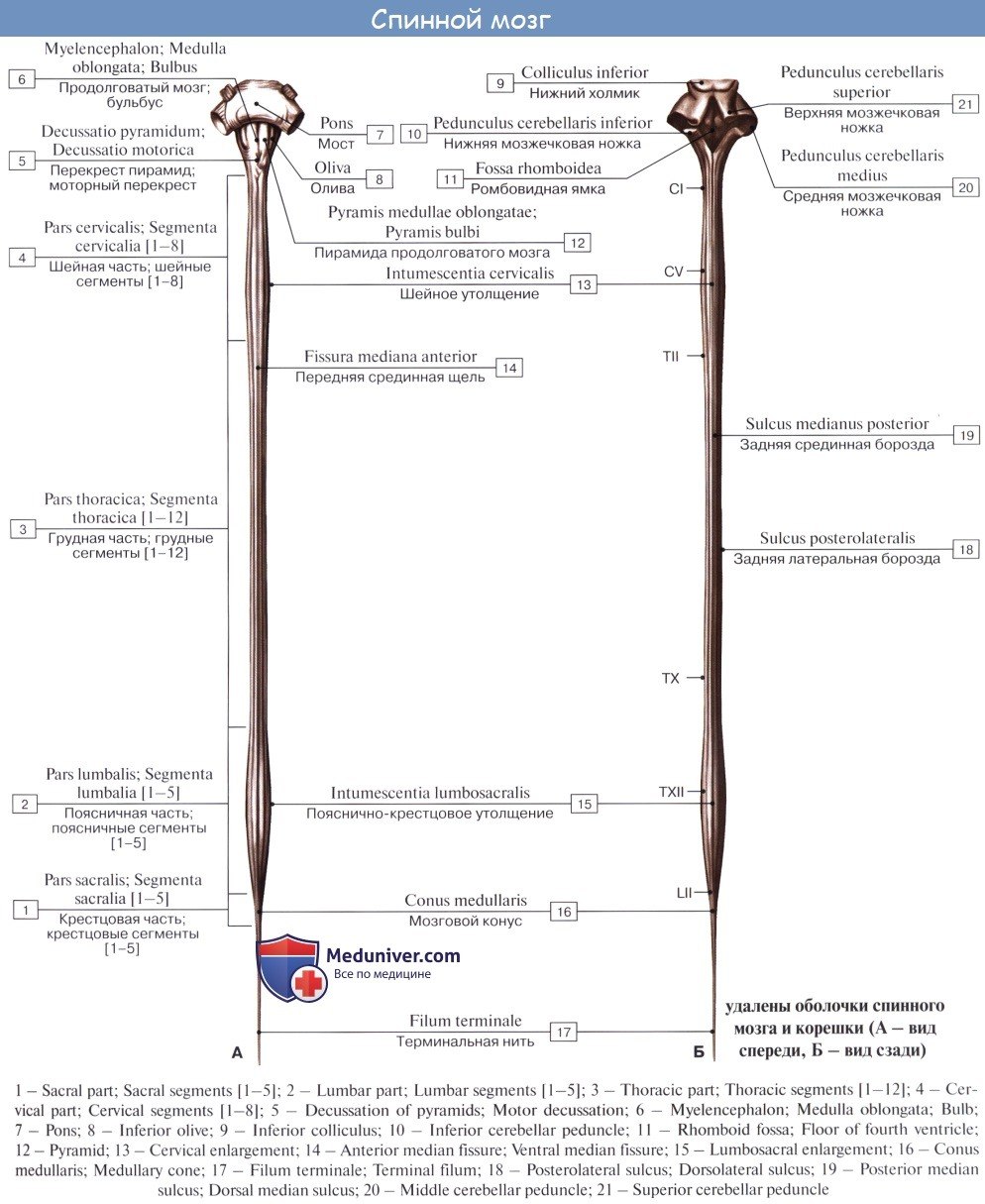 Схема подключения 2din магнитолы
