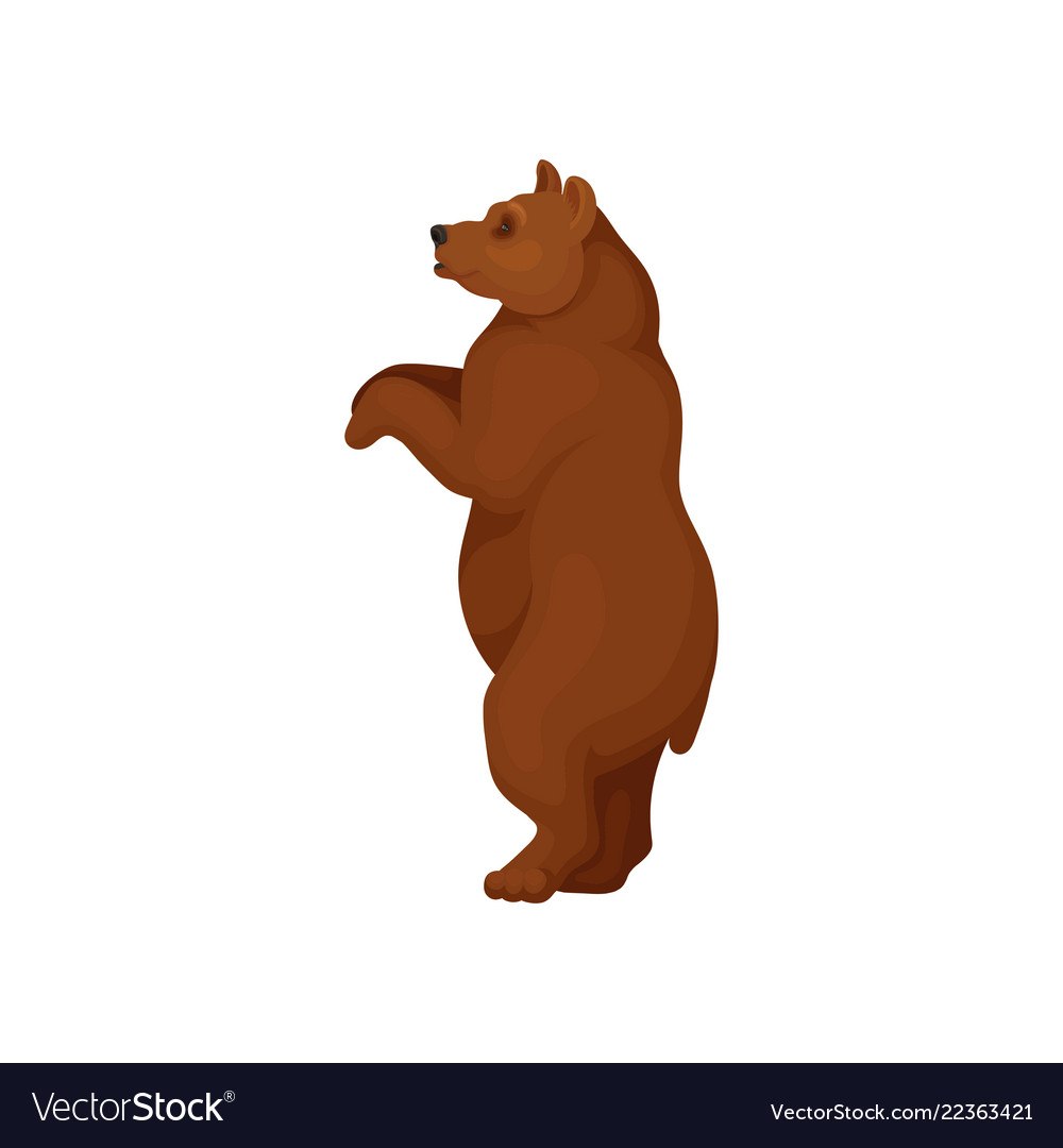 Тело мужчины спереди и сзади