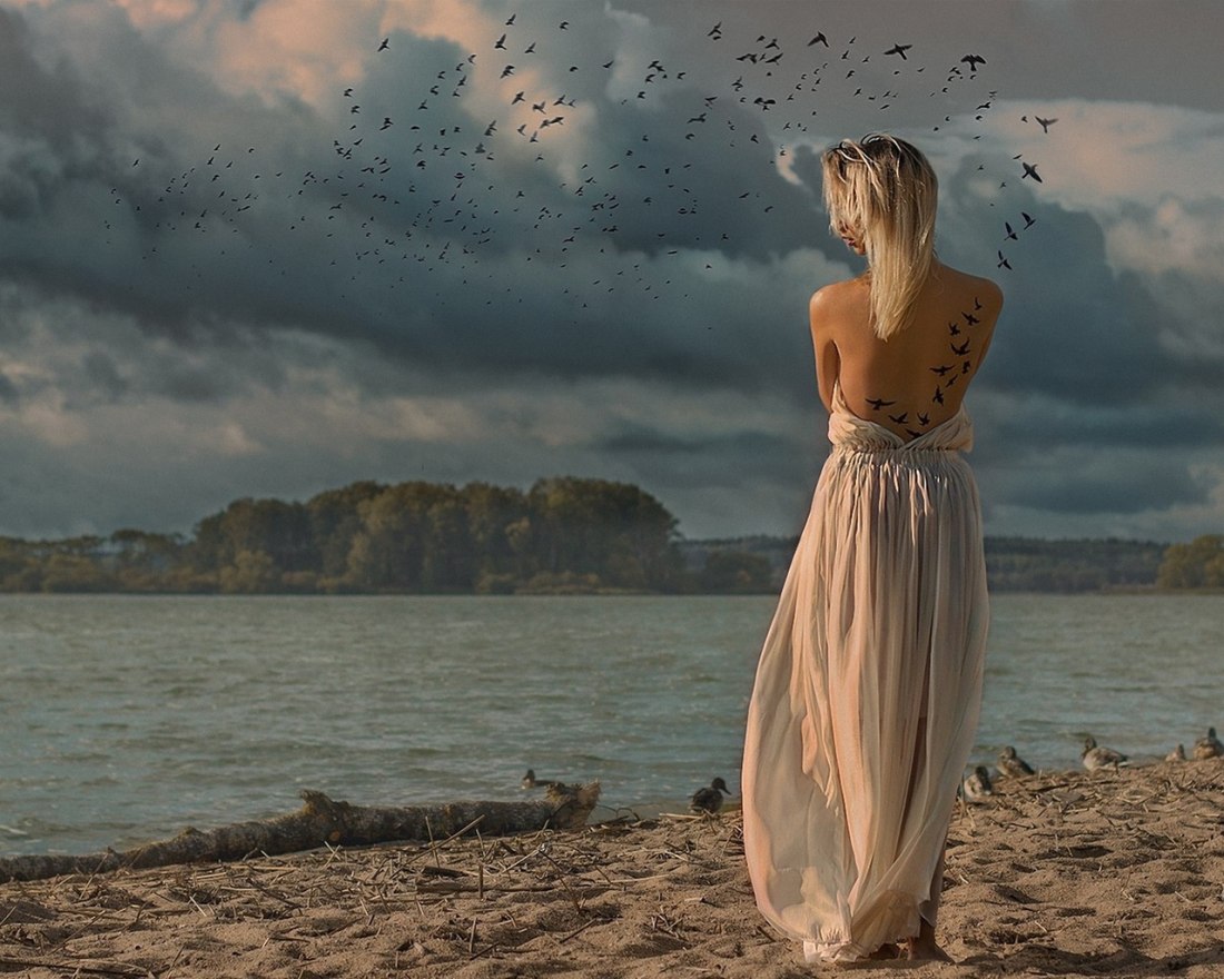 Щербаков художник картины натюрморты