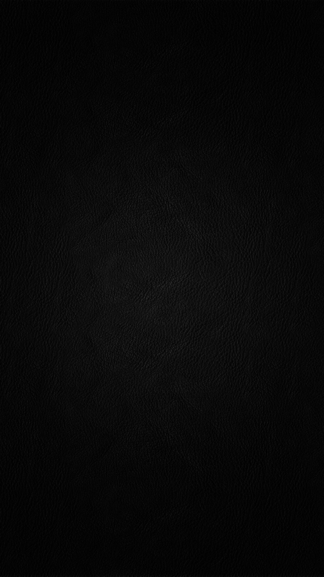 Хлоя вевриер волосатая