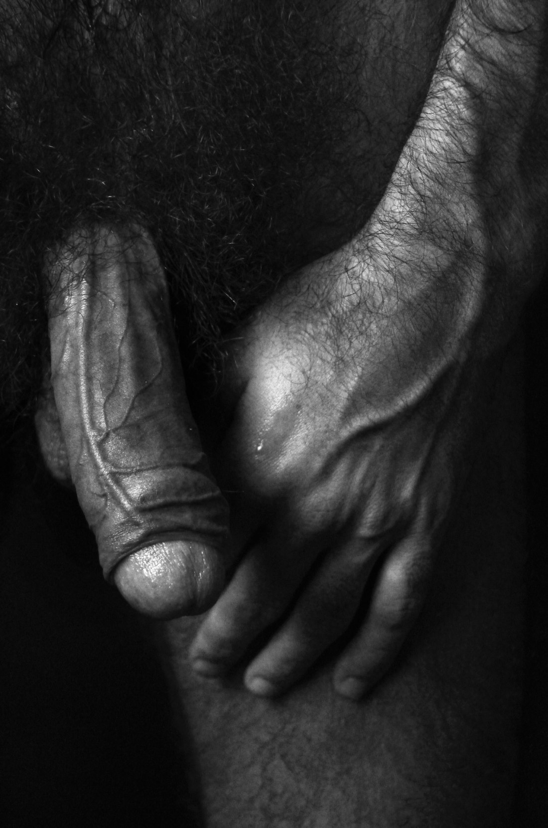 Гигантские красивые члены