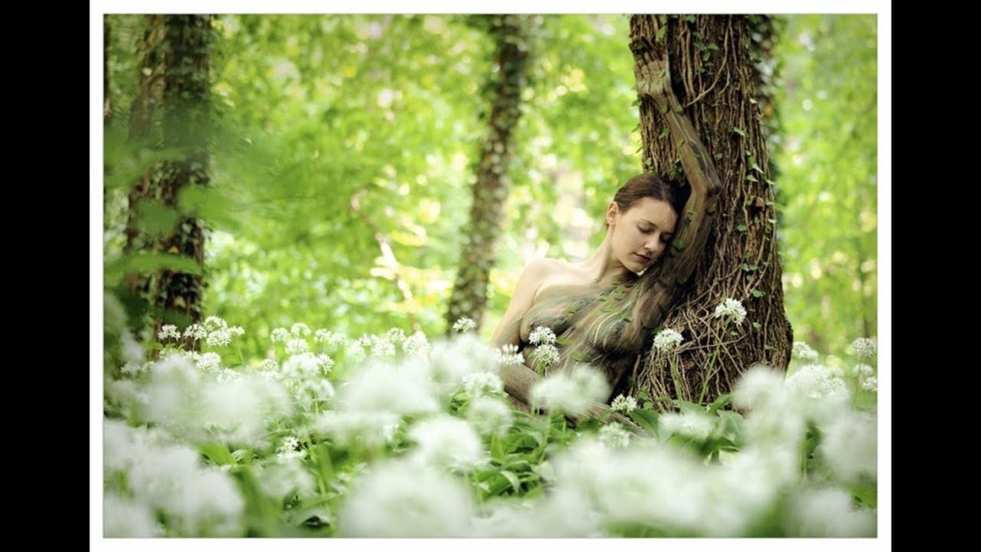 Светлана Светличная Брильянтовая рука