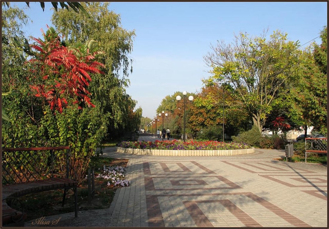 Хутор упорный Павловский район Краснодарский край