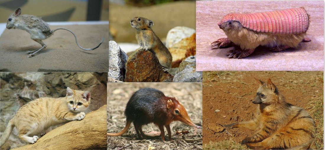 Страшный силуэт в темноте