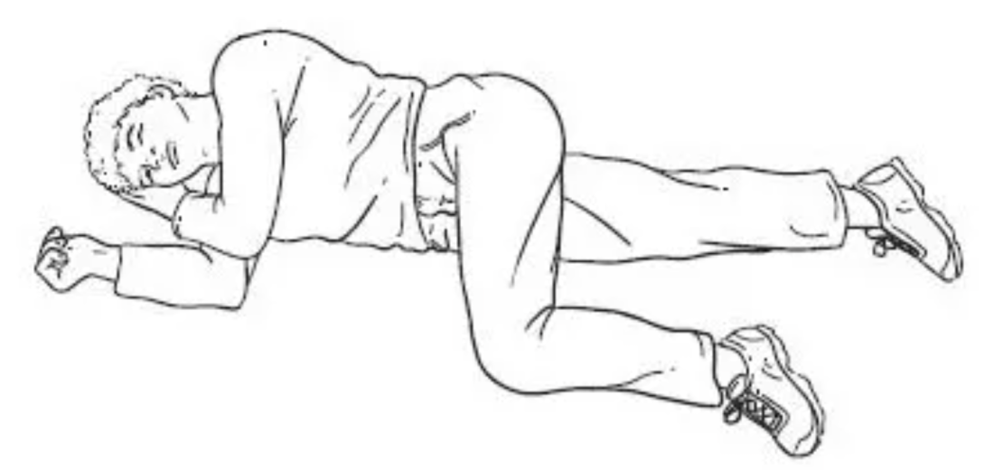 Цербер из Helltaker