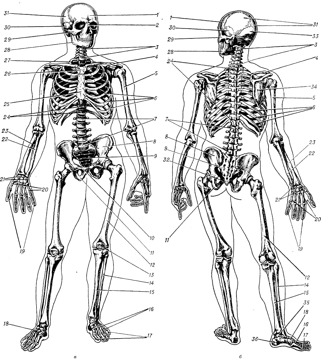 Тёмные обои девушки