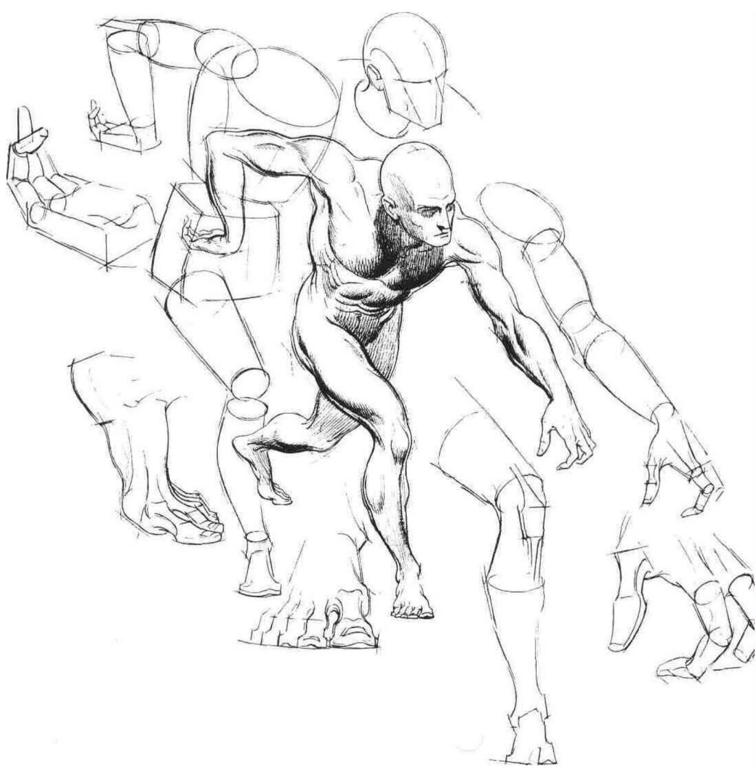 Высота барной стойки стандарт