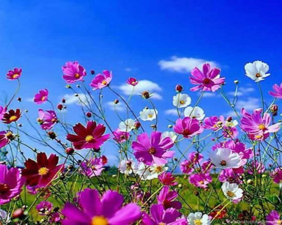 Схема запасных частей ВАЗ 2112