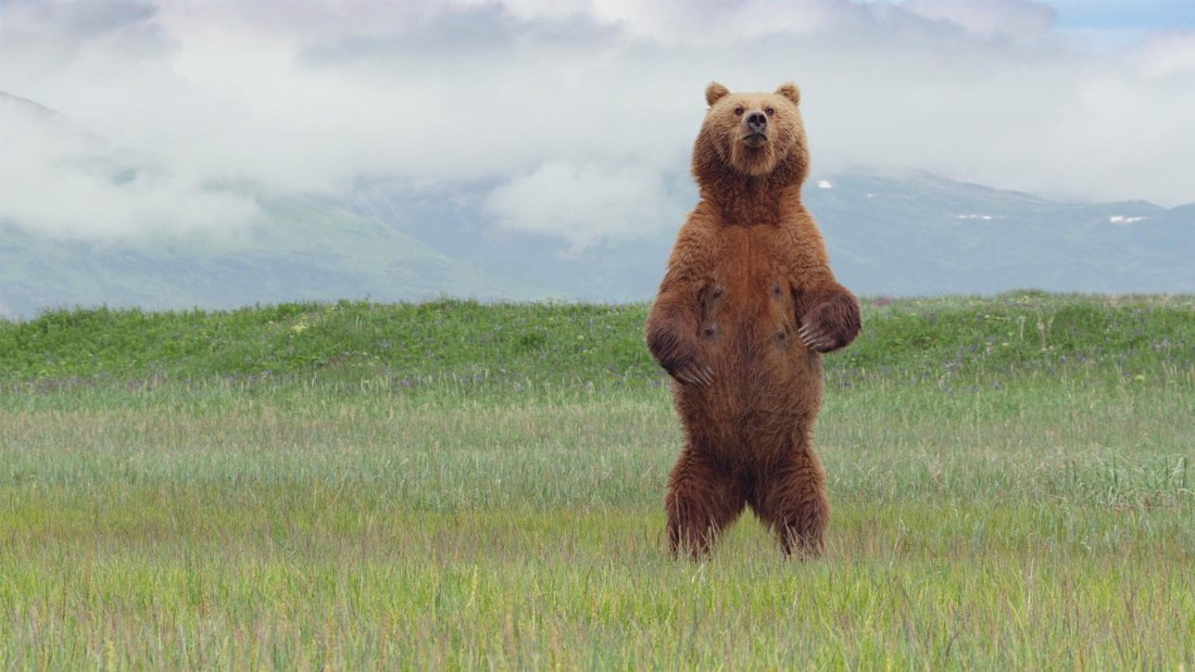Виды женских джинс рисунок