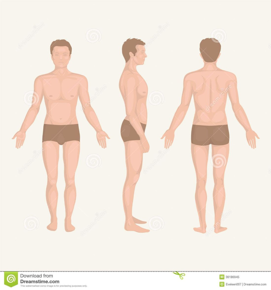 Базовые формы джинс