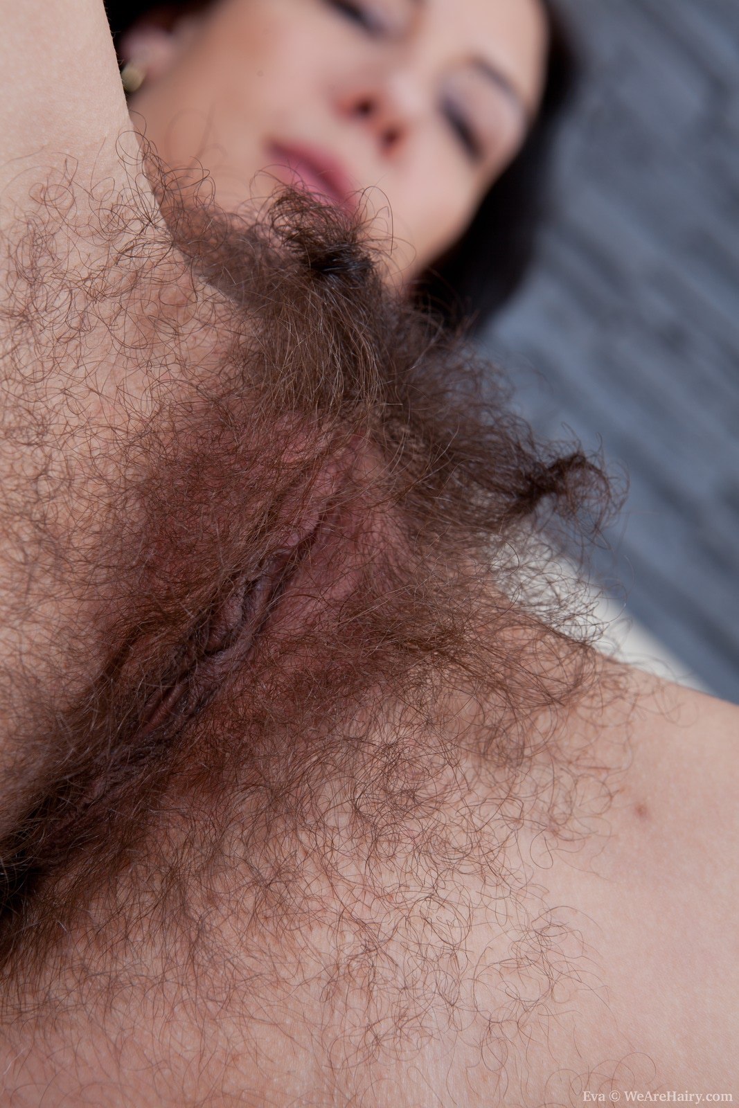 Рыжие девушки с мохнатыми лобками