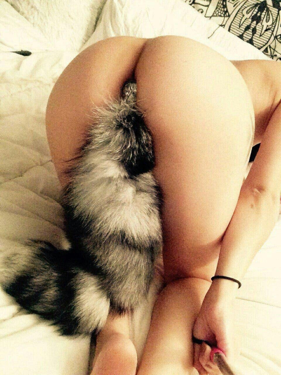 Саша грей анальный хвостик