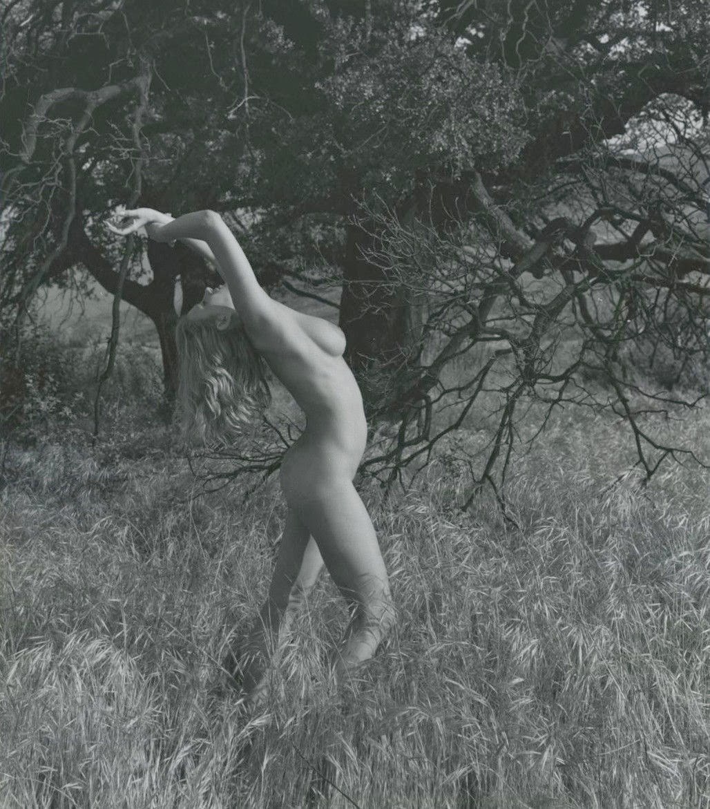 Порно-актриса Анита Экберг