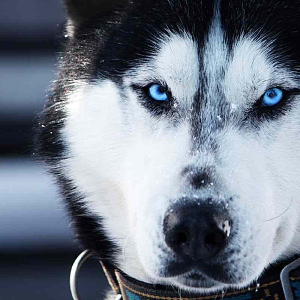 Красивая блондинка с красивыми ножками