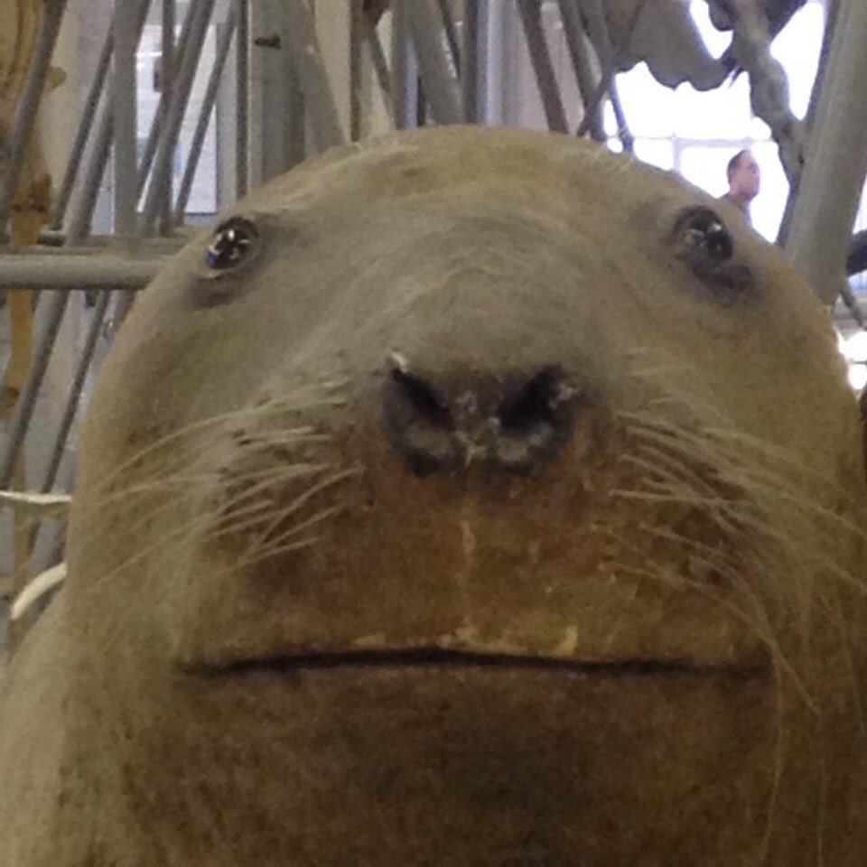 Тело мужчины спереди и сзади