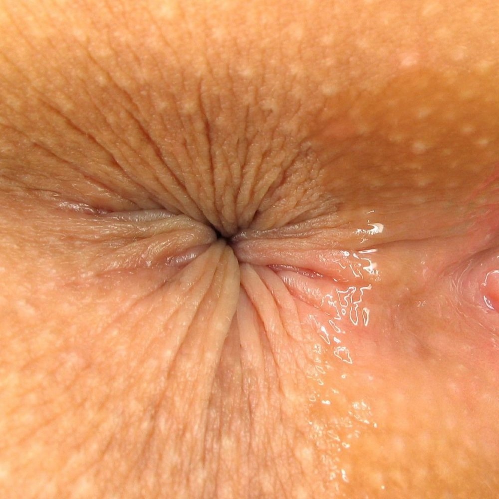 Женские анальные дырочки