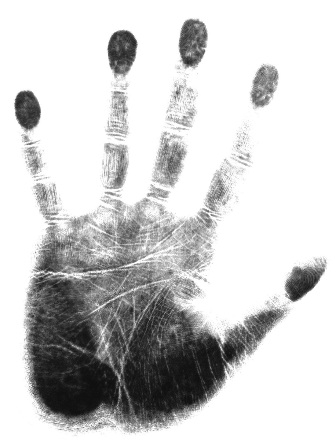 Отпечаток руки