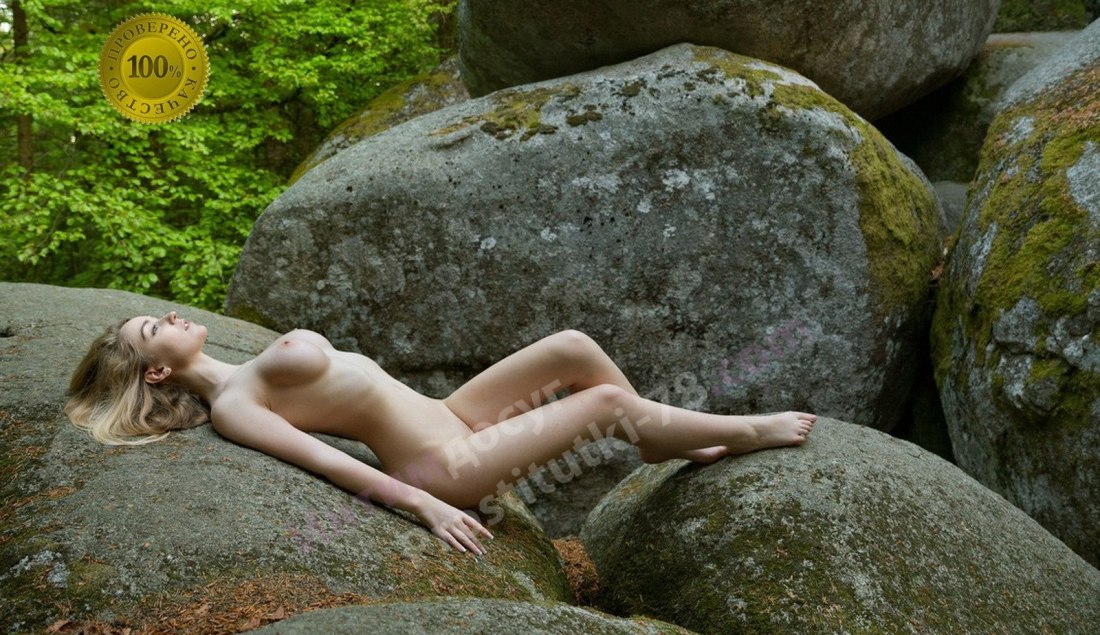 Acacia Stefan Soell