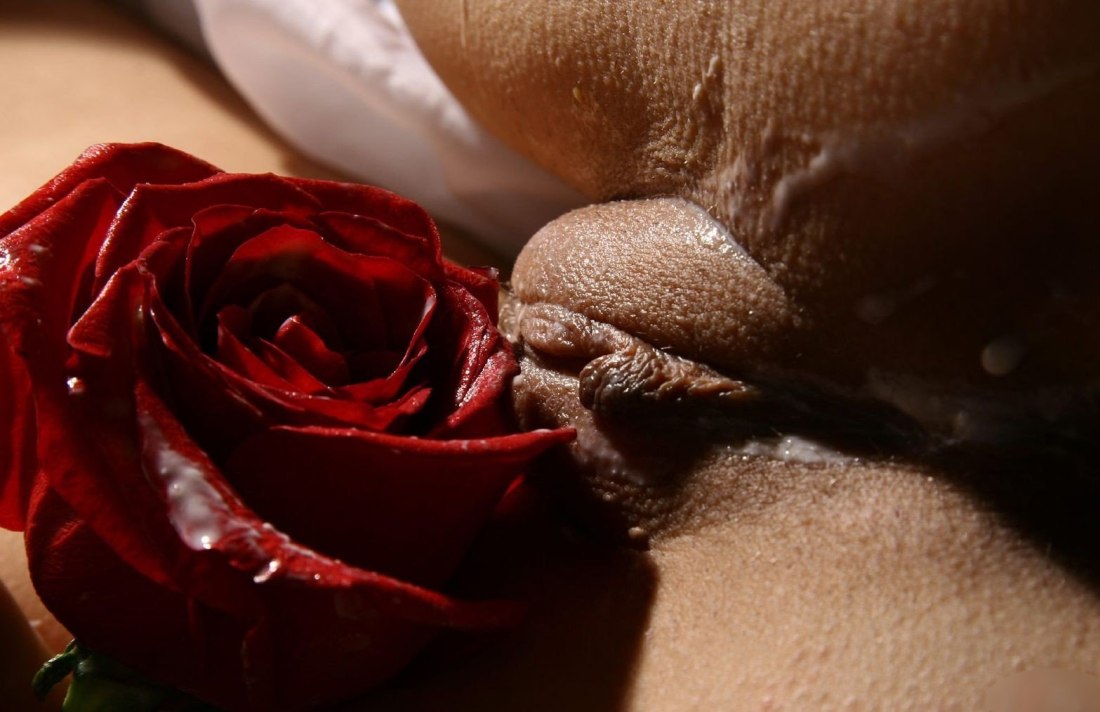 Цветы женские гениталии