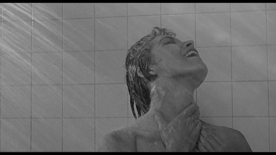 Бригитта Нильсен в молодости ню