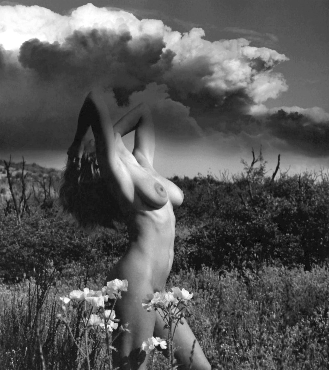 Шведская актриса Анита Экберг