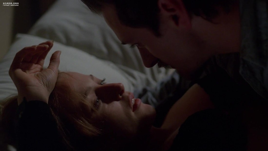 Gillian Anderson fake