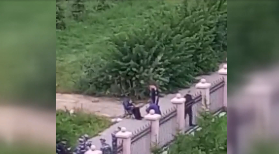 Мария Захарова станцевала лезгинку