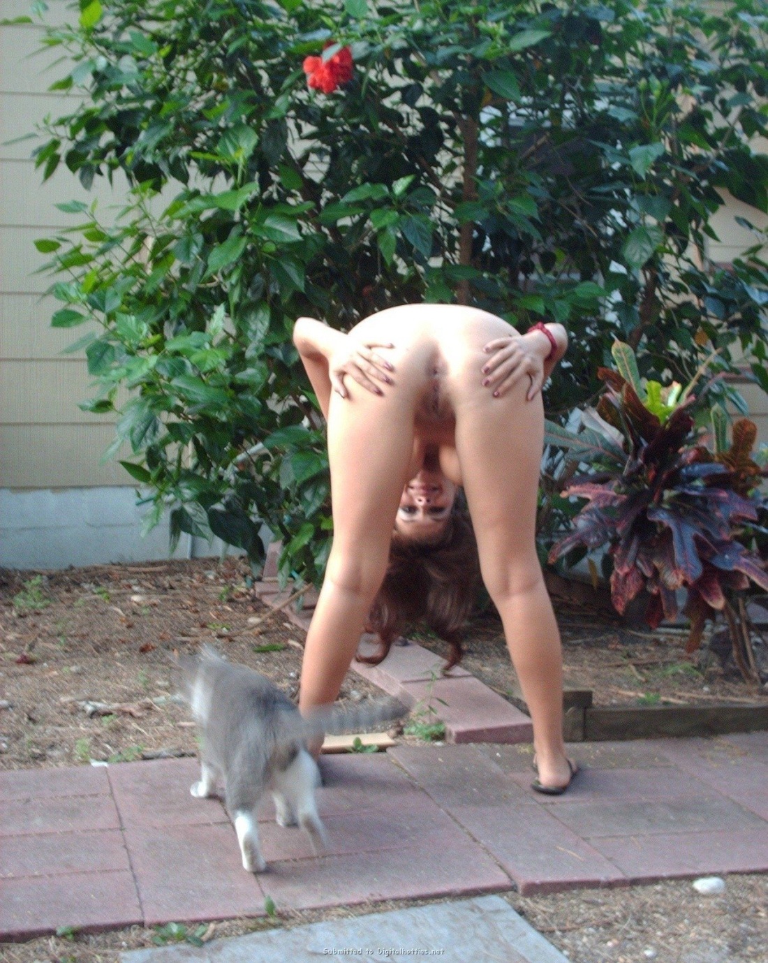 Голые бабульки в огороде