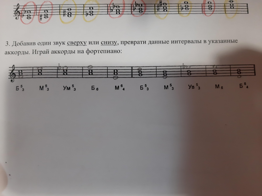 Вид с дерева вниз