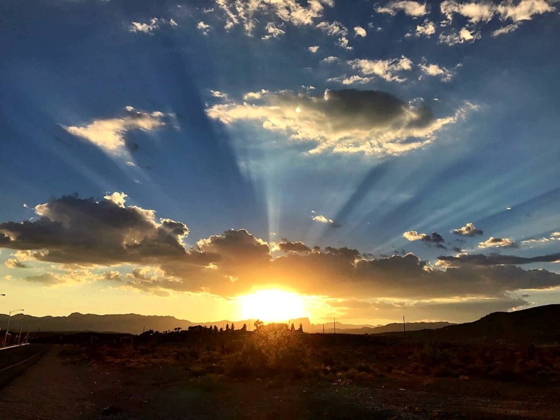 Мышца короткий сгибатель пальцев стопы