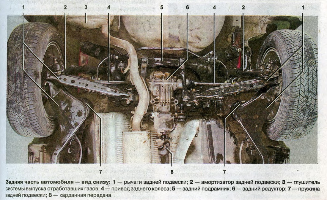 Зрелая вагина под юбкой