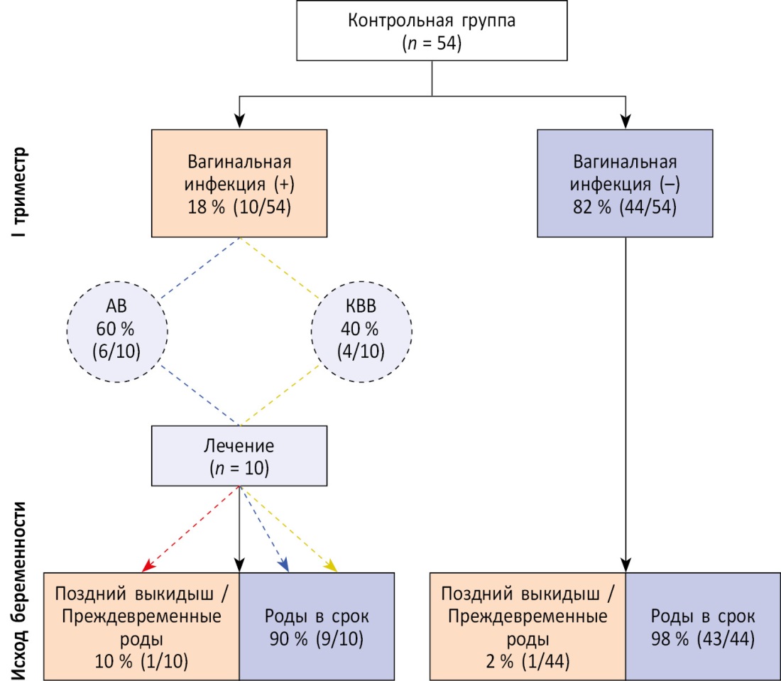 Влагалище взрослой женщины