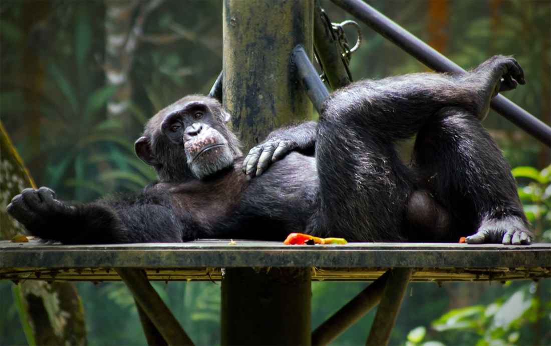 Спортивные парни с большим