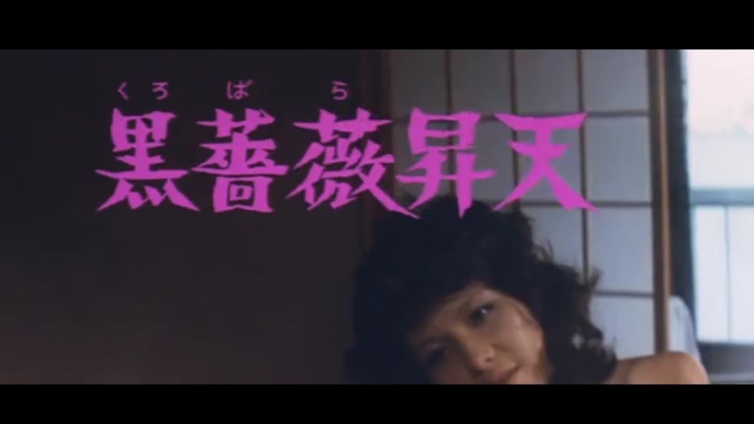 Skullgirls Церебелла кролик