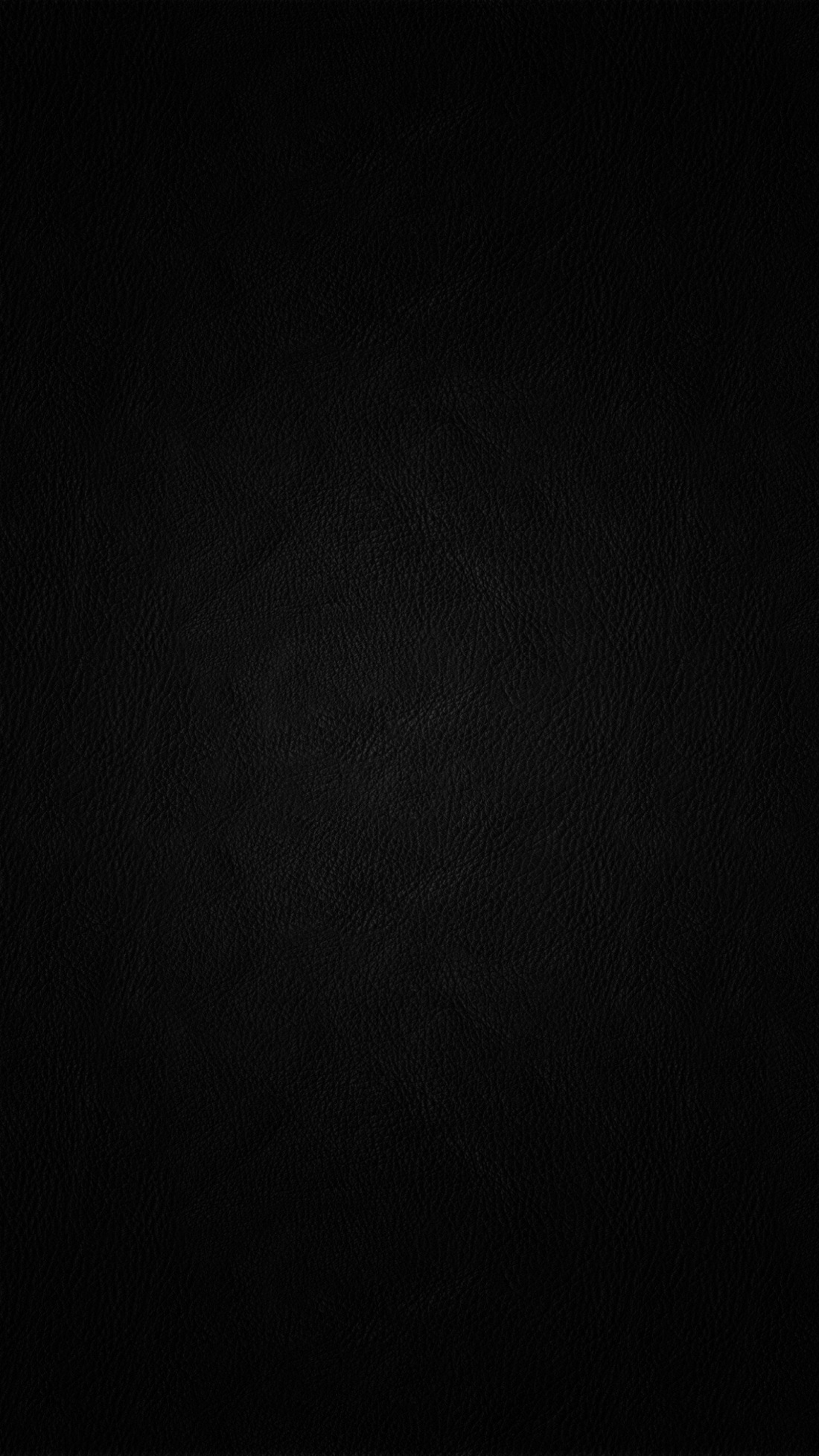 Хлоя вевриер волосатая