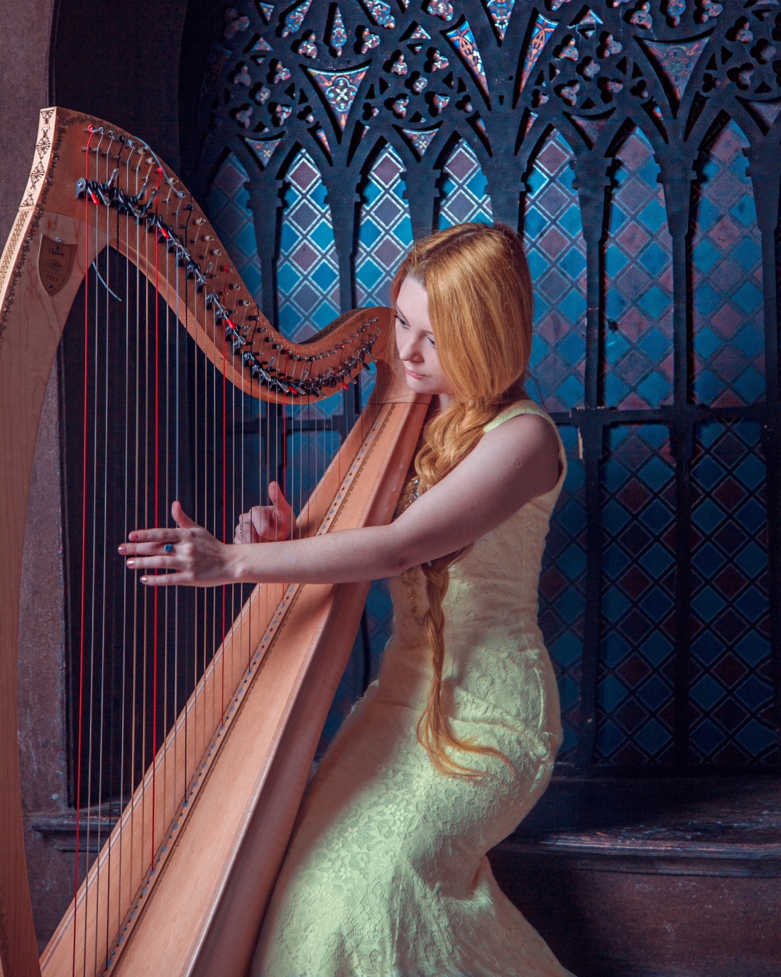 Анальная арфистка (часть 1)