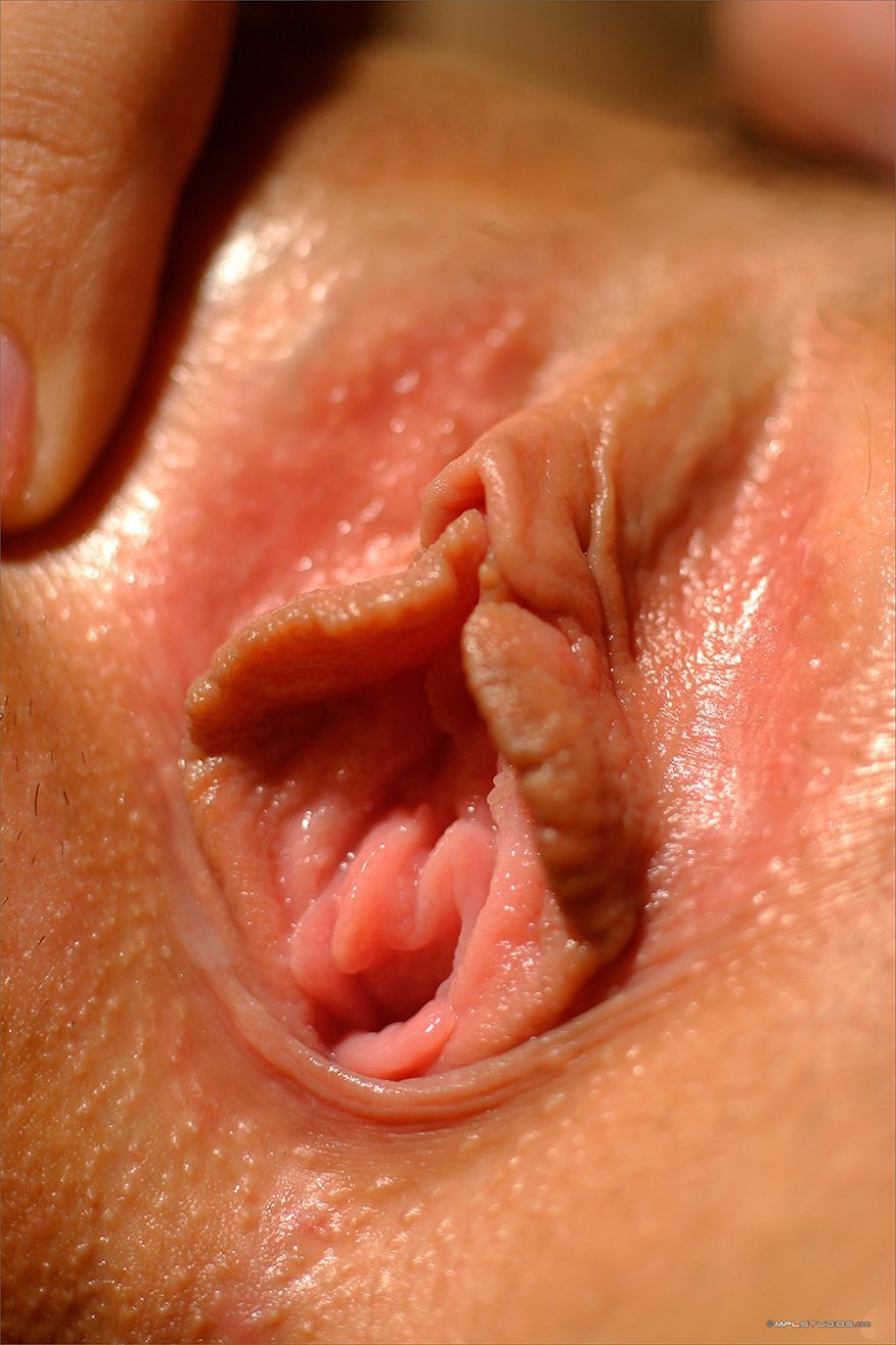 Красивые половые органы